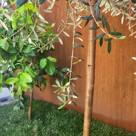 Aparthotel Attilio High Living - Adults Only Torri Del Benaco