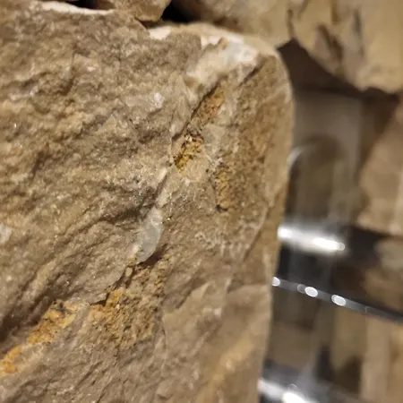 Attilio High Living - Adults Only شقة فندقية توري ديل بيناكو