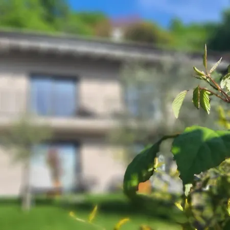 Aparthotel Attilio High Living - Adults Only Torri Del Benaco